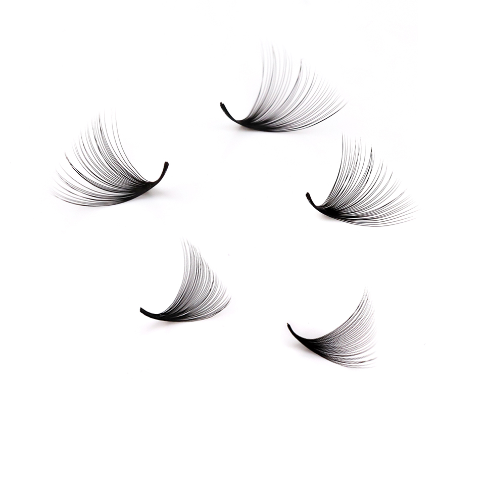Lashprofessor XL Tray 3D 4D 5D - đánh giá và giá Mega Volume Lash