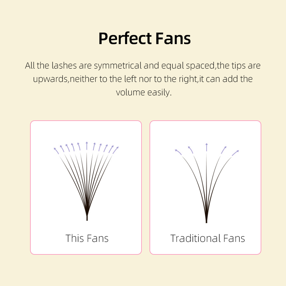 Lashprofessor XL Tray 3D 4D 5D - đánh giá và giá Mega Volume Lash